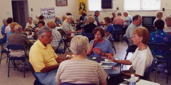 Bridge Players