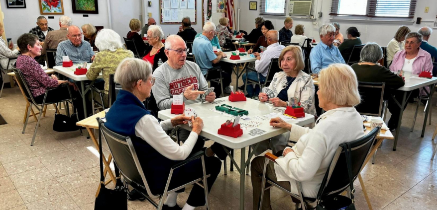 Picture of Bridge game